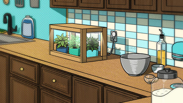 Teal Kitchen (2025)