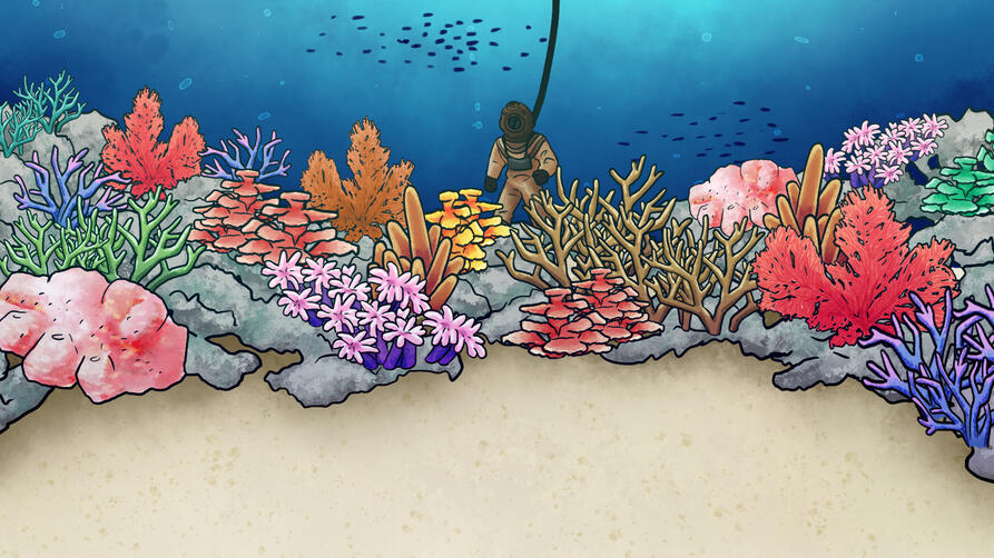 Bubble Bash Coral Reef Stage (2025)