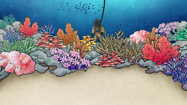 Bubble Bash Coral Reef Stage (2025)