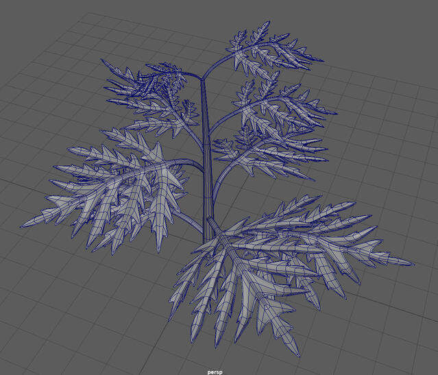 Ragweed Wireframes Asset (2024)