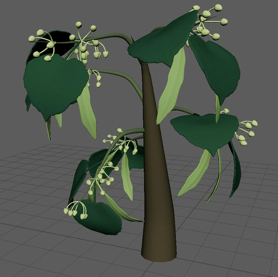 Linden Tree Branches (2024)