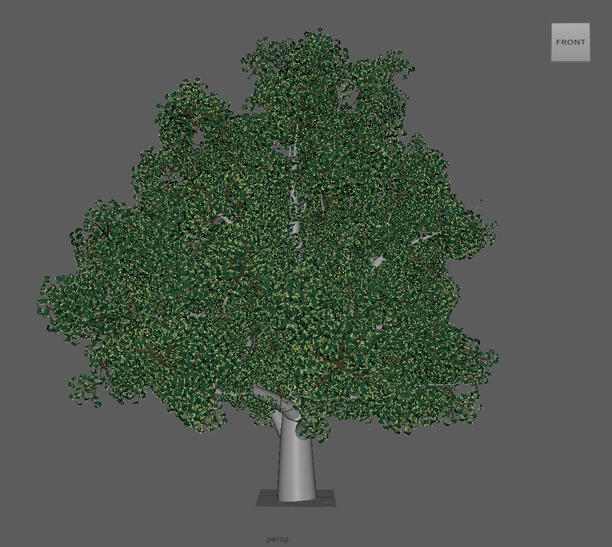 Linden Tree MASH Test (2024)
