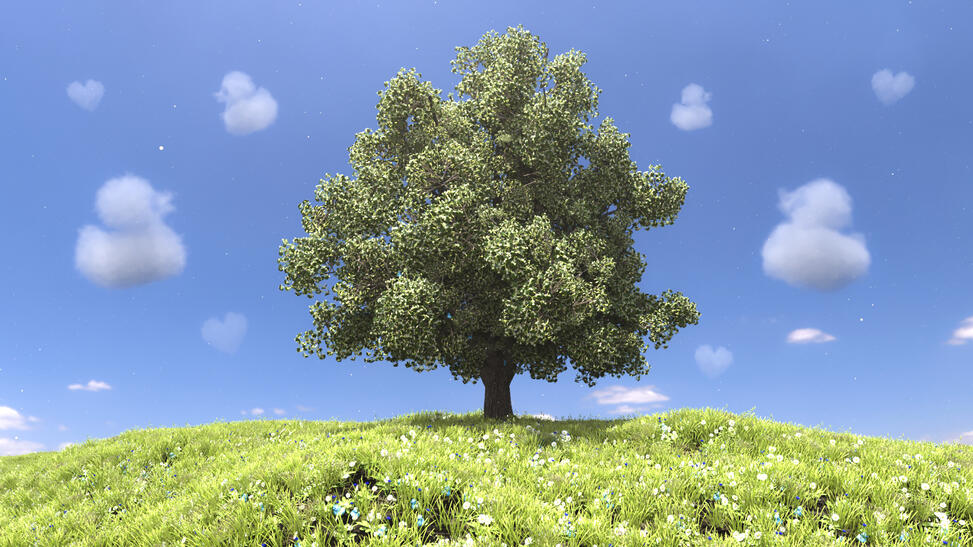 Linden Tree Enviro (2024)