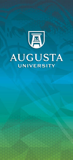 JSAC Anamorphosic Mural Design